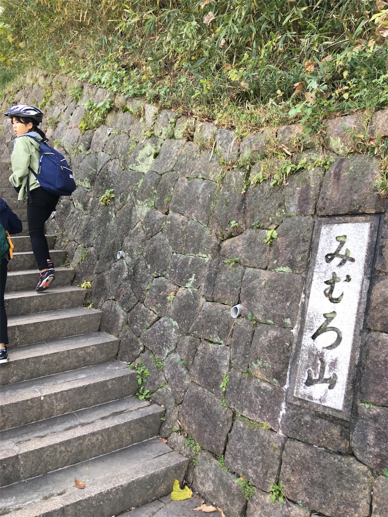 f:id:roy-7303-pkbs:20191118120714j:image