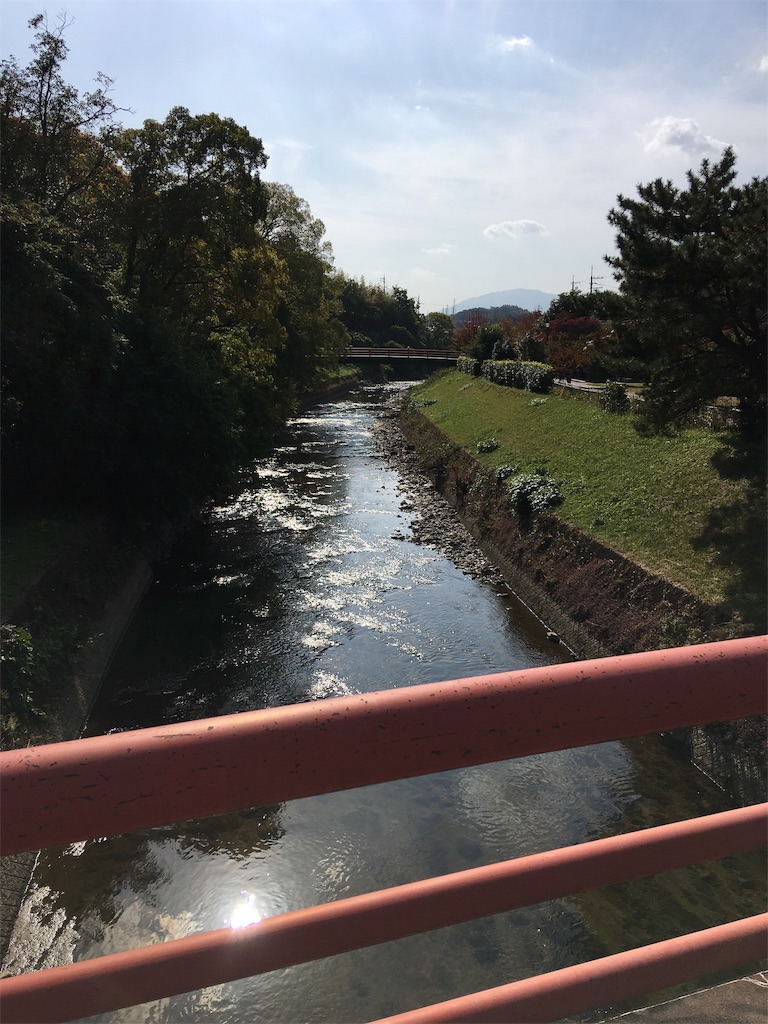 f:id:roy-7303-pkbs:20191118120735j:image