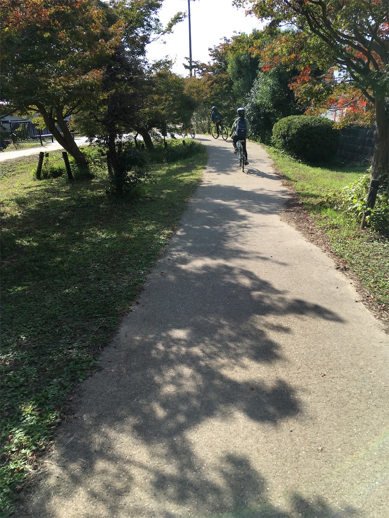 f:id:roy-7303-pkbs:20191118120801j:image