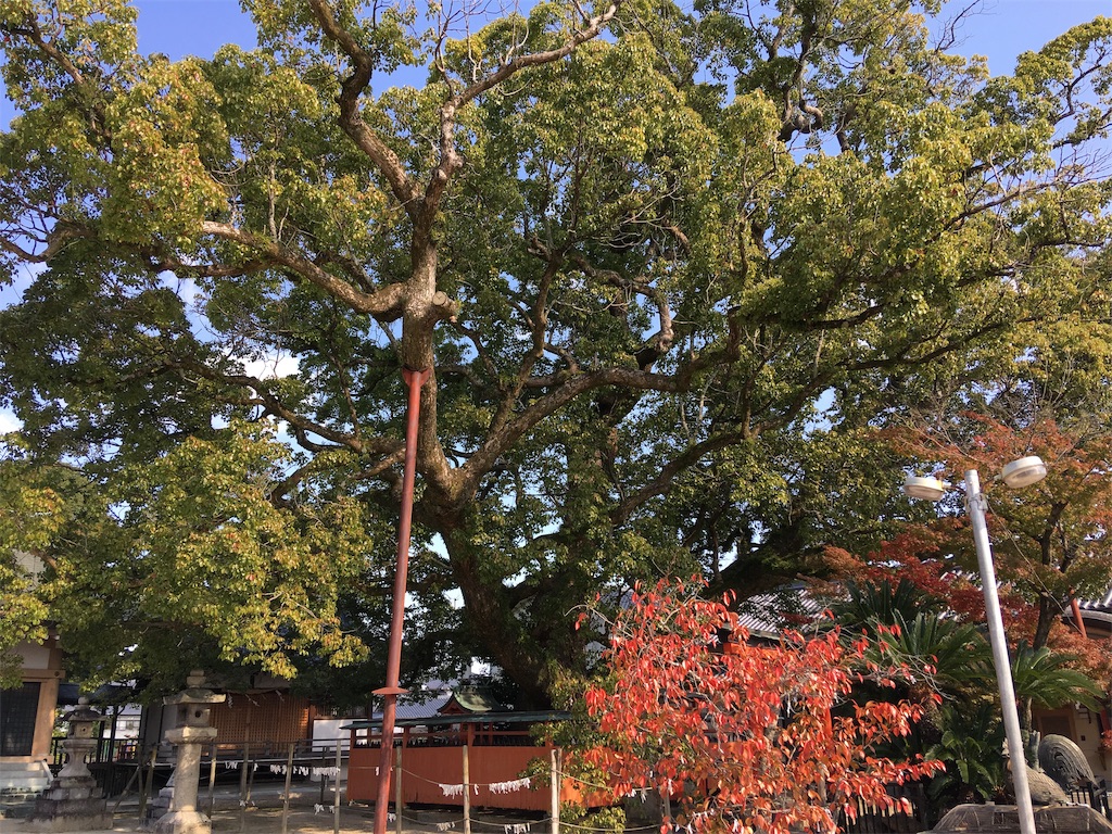 f:id:roy-7303-pkbs:20191118120811j:image