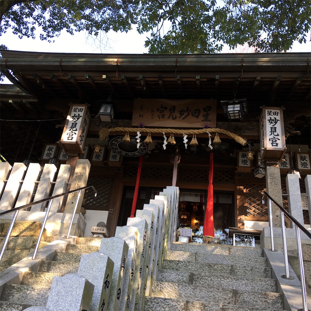 f:id:roy-7303-pkbs:20191202100250j:image f:id:roy-7303-pkbs:20191202100250j:image