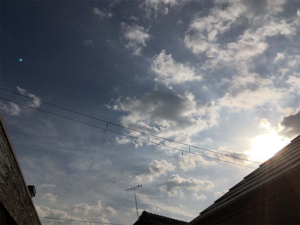 f:id:roy-7303-pkbs:20200302154124j:image