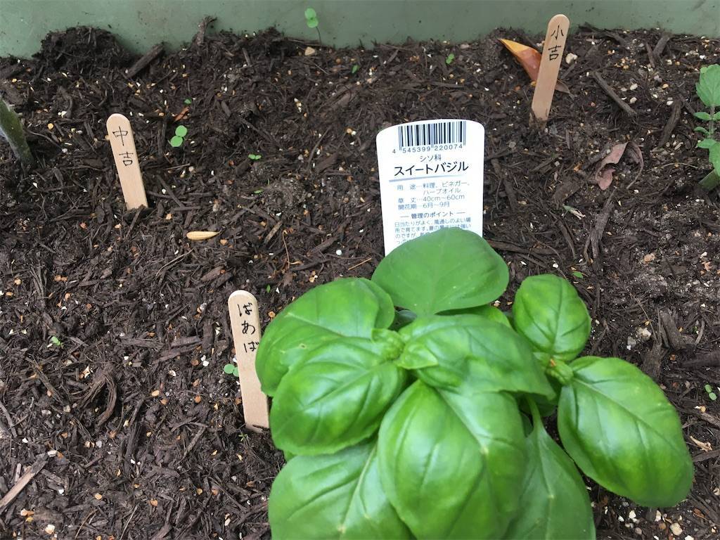 f:id:roy-7303-pkbs:20200522142935j:image f:id:roy-7303-pkbs:20200522142935j:image