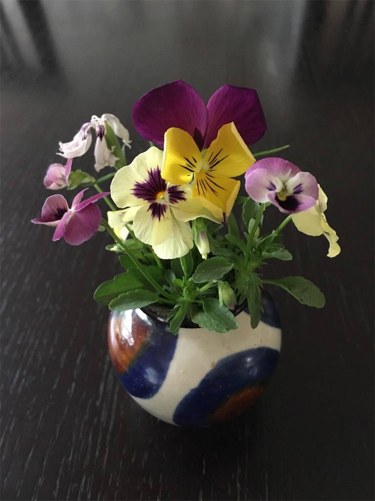 人体の不思議展とは サイエンスの人気 最新記事を集めました はてな