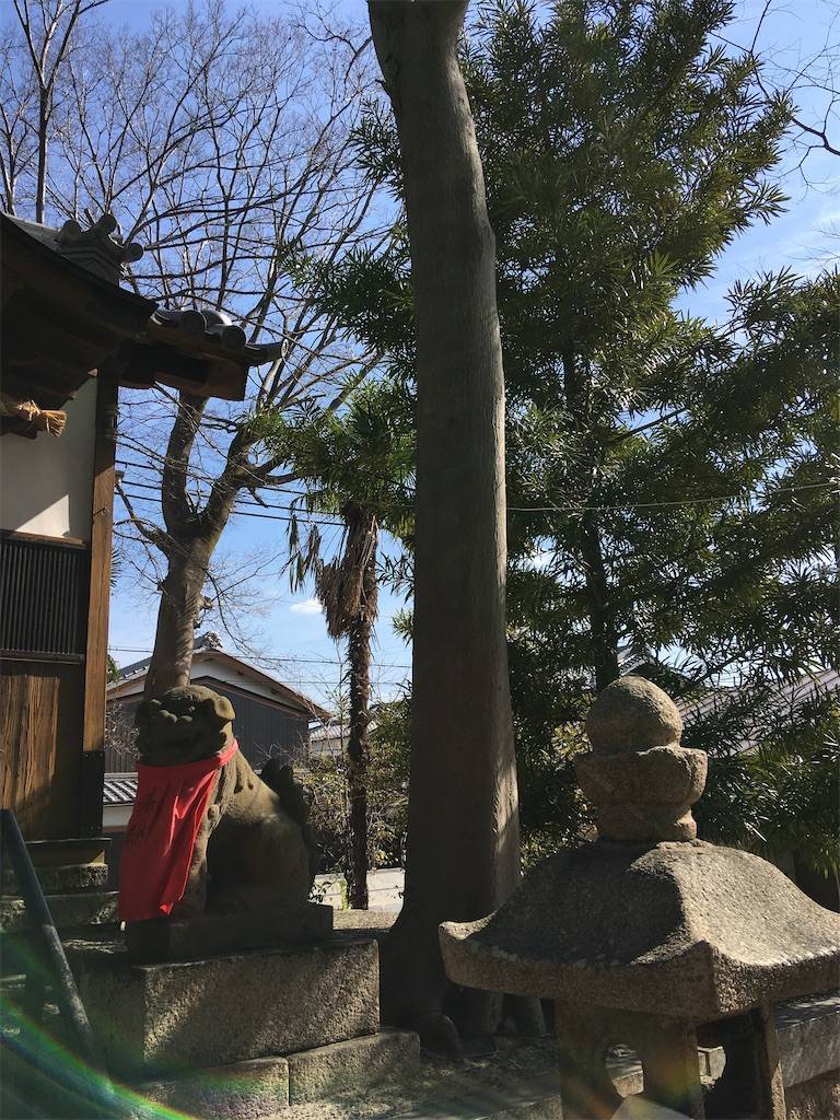 f:id:roy-7303-pkbs:20210223084038j:image f:id:roy-7303-pkbs:20210223084038j:image