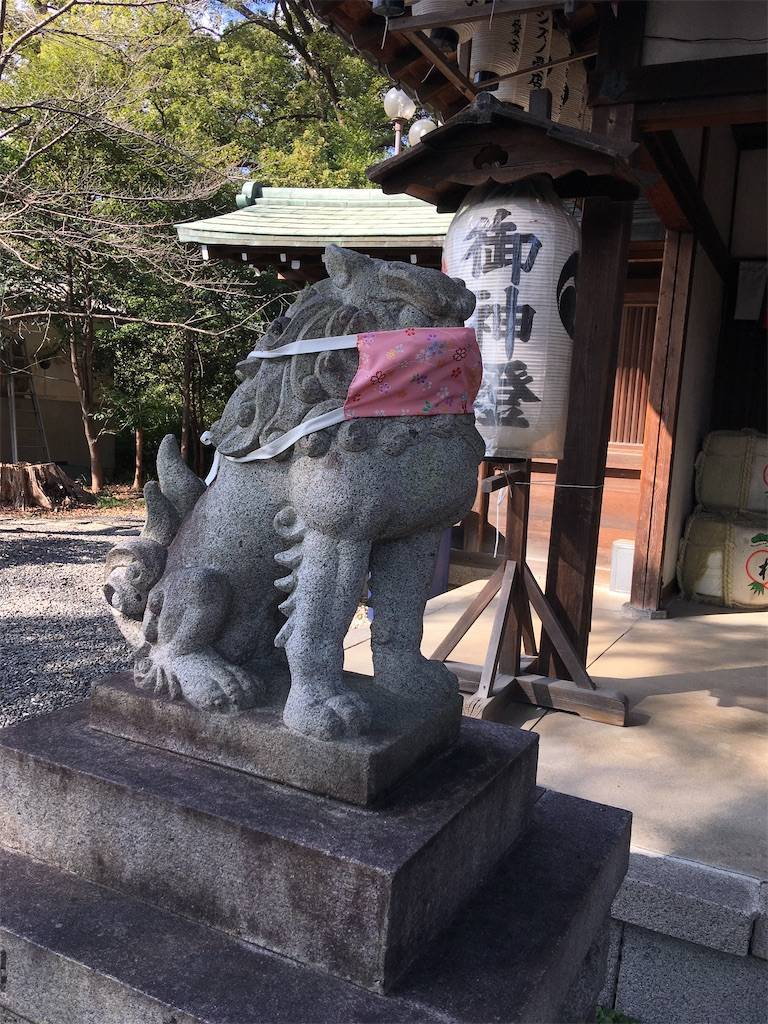 f:id:roy-7303-pkbs:20210223101307j:image f:id:roy-7303-pkbs:20210223101307j:image