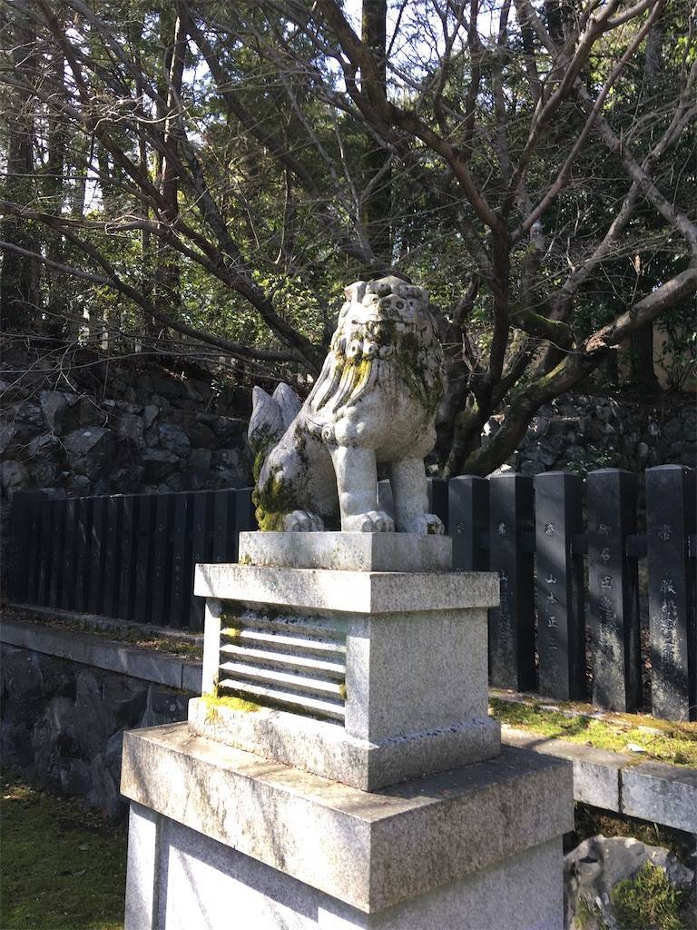 f:id:roy-7303-pkbs:20210228180849j:image f:id:roy-7303-pkbs:20210228180849j:image