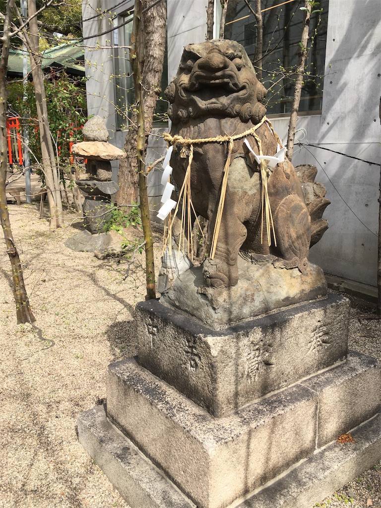 f:id:roy-7303-pkbs:20210301221628j:image f:id:roy-7303-pkbs:20210301221628j:image