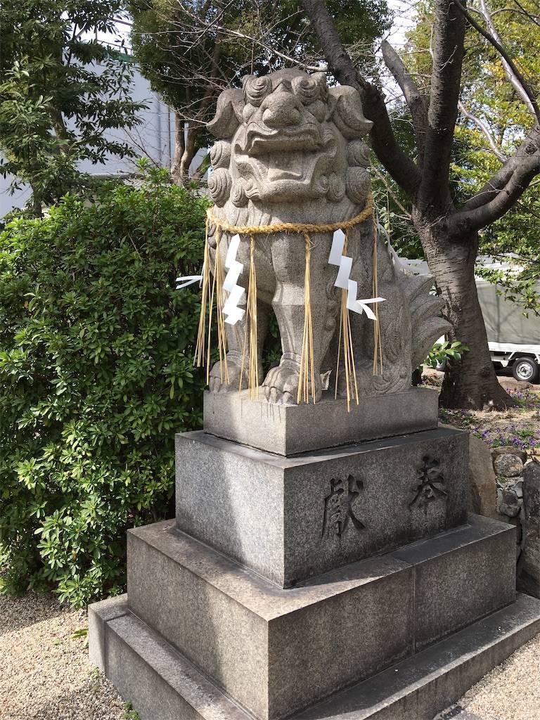 f:id:roy-7303-pkbs:20210301221835j:image f:id:roy-7303-pkbs:20210301221835j:image