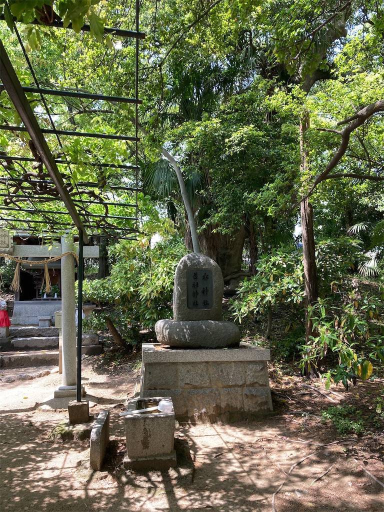 f:id:roy-7303-pkbs:20210430155811j:image f:id:roy-7303-pkbs:20210430155811j:image