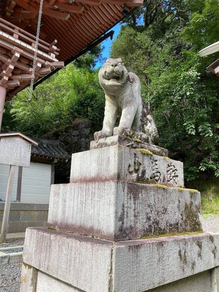 f:id:roy-7303-pkbs:20210919221132j:image f:id:roy-7303-pkbs:20210919221132j:image