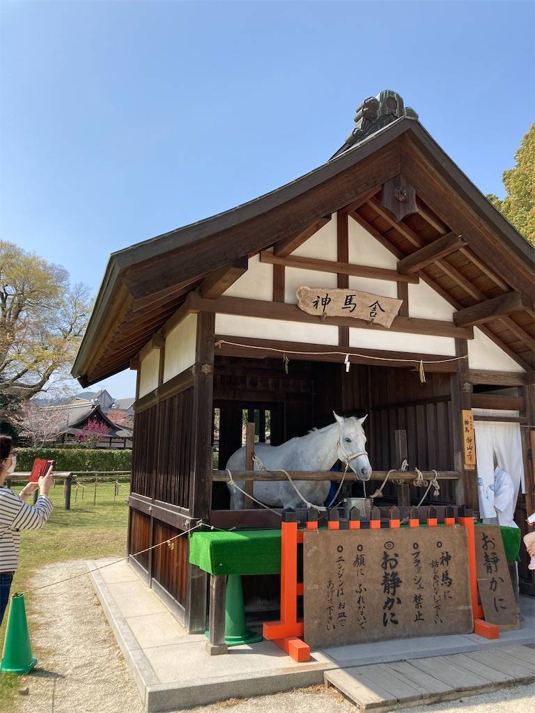 早い者勝ちです☆笙 江戸時代 年代物間 二葉葵 上賀茂神社 早い者勝ちです☆笙 江戸時代 年代物間 二葉葵 上賀茂神社