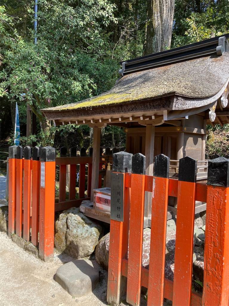 早い者勝ちです☆笙 江戸時代 年代物間 二葉葵 上賀茂神社 backend=imagemagick;version=1;
