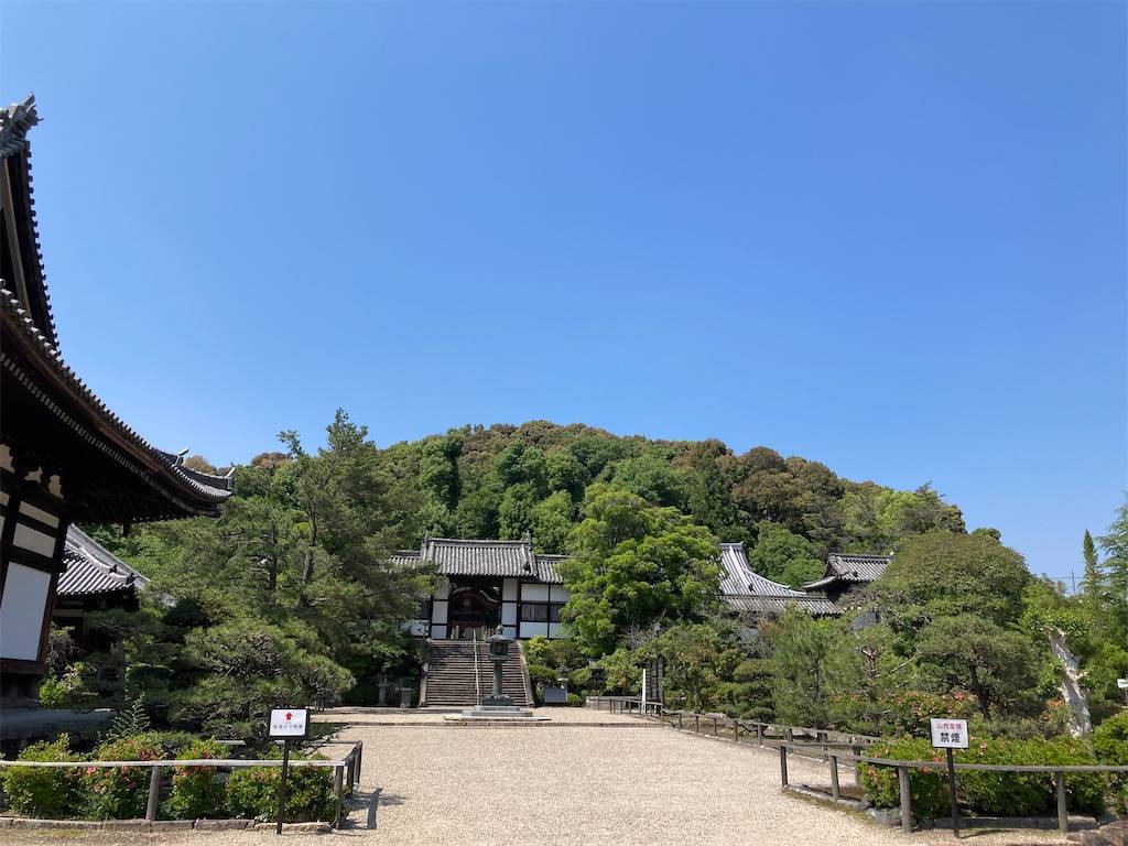 ❗️✳️超レア　598g❤️天然形 夜郎・古銅石 極みの逸品　貴州産　Ｂ　寺　鳥居 KaleidoscopeStore | Cosmic Egg宇宙之卵Tattoo sticker 纹身贴