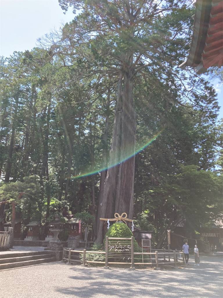 f:id:roy-7303-pkbs:20220623163246j:image