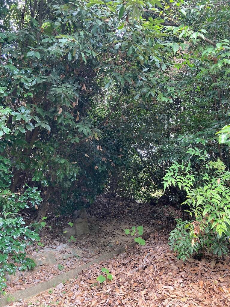 f:id:roy-7303-pkbs:20260817104325j:image