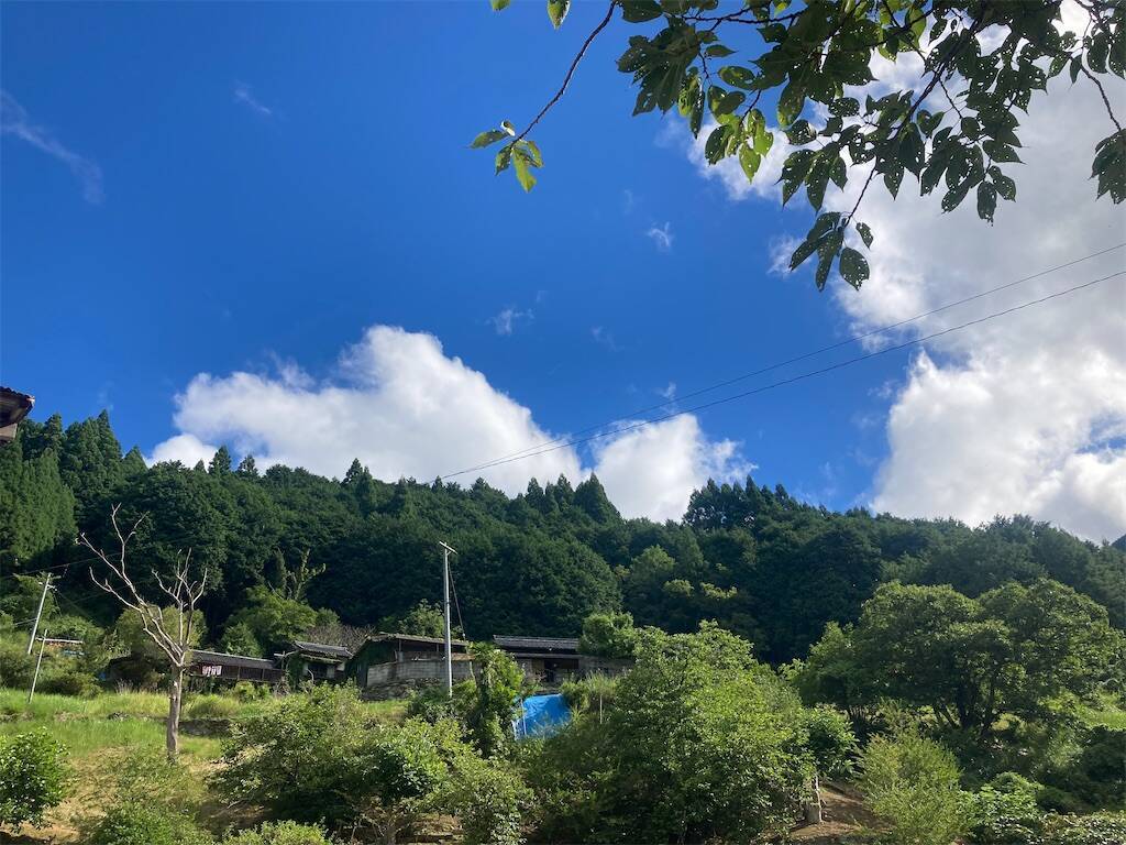 f:id:roy-7303-pkbs:20260821101814j:image