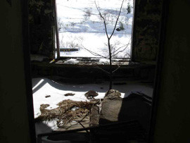 f:id:roy-t:20080213210405j:image