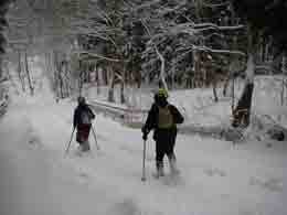 f:id:roy-t:20080217163737j:image f:id:roy-t:20080217163737j:image