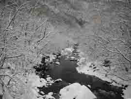 f:id:roy-t:20080217163738j:image f:id:roy-t:20080217163738j:image