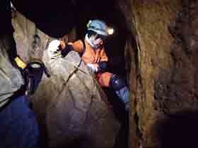 f:id:roy-t:20080224105520j:image f:id:roy-t:20080224105520j:image