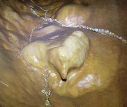 f:id:roy-t:20080224110145j:image f:id:roy-t:20080224110145j:image