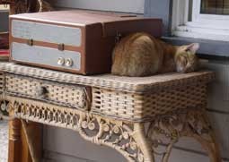 f:id:roy-t:20080811041813j:image f:id:roy-t:20080811041813j:image