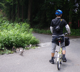 f:id:roy-t:20090614183402j:image