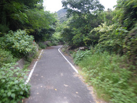 f:id:roy-t:20090915195422j:image