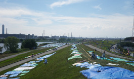 f:id:roy-t:20100809052050j:image