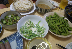 f:id:roy-t:20100809052052j:image