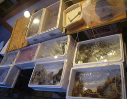 f:id:roy-t:20100816185553j:image
