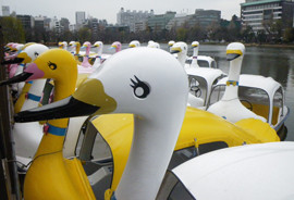 f:id:roy-t:20120102195356j:image