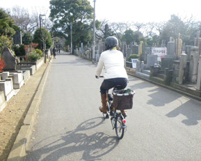 f:id:roy-t:20120102195406j:image