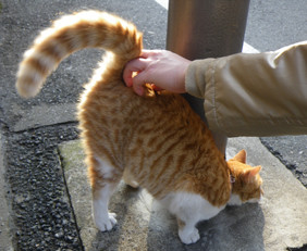 f:id:roy-t:20120305104644j:image