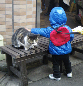 f:id:roy-t:20120305104646j:image