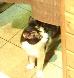 f:id:roy-t:20120731110122j:image f:id:roy-t:20120731110122j:image