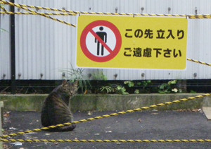 f:id:roy-t:20120812101337j:image