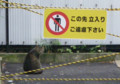 20120812101337