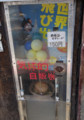20130428183918