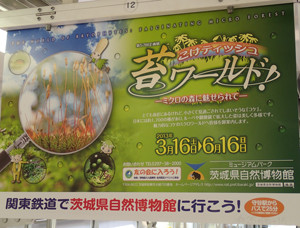 f:id:roy-t:20130520172805j:image