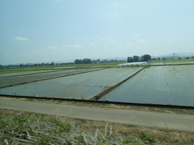 f:id:roy-t:20130520172812j:image