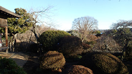 f:id:roy-t:20140104101032j:image