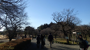 f:id:roy-t:20140104101036j:image