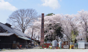 f:id:roy-t:20140408114616j:image