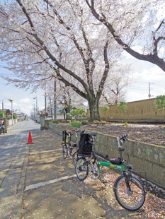 f:id:roy-t:20140408114618j:image