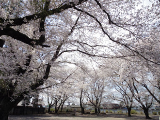 f:id:roy-t:20140408114636j:image