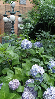 f:id:roy-t:20140624114152j:image