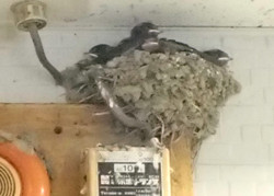 f:id:roy-t:20140707152643j:image