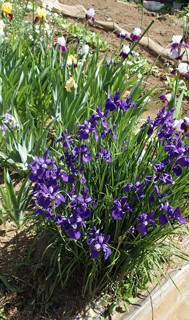 f:id:roy-t:20150512102020j:image